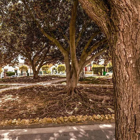 3 Bedroom In